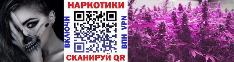 Бошки Шишки Волгореченск