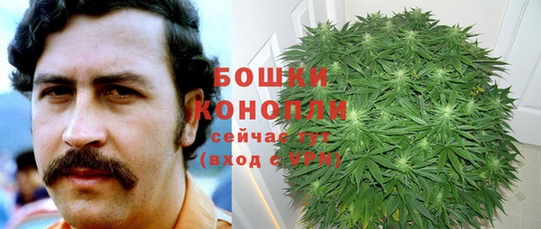 ПСИЛОЦИБИНОВЫЕ ГРИБЫ Белокуриха